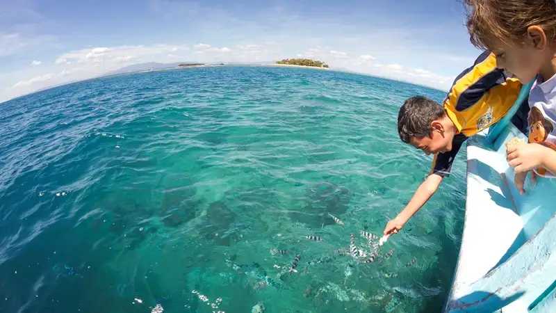 Beachcomber Island Resort Full Day or Half Day Cruise