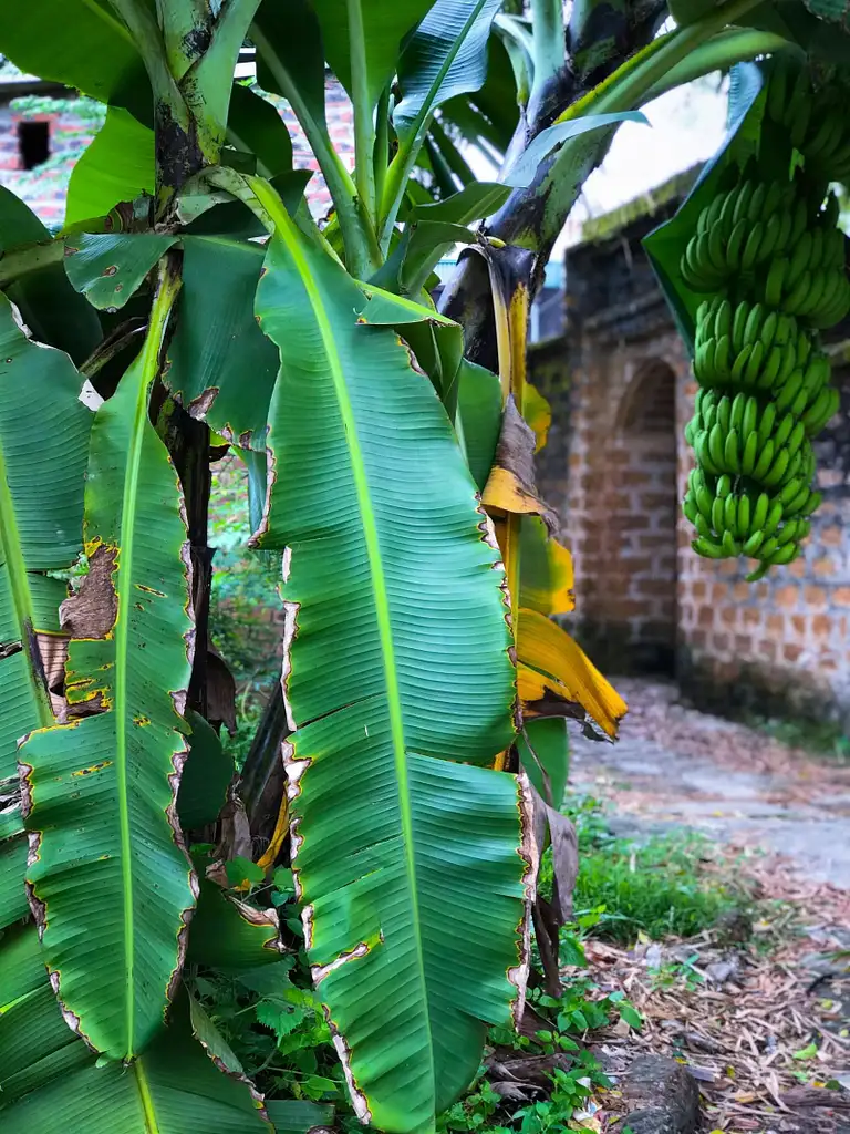 Full-day Duong Lam Ancient Village Tour | From Hanoi | Private Tour