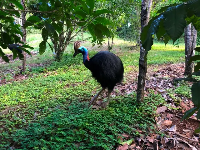 Cairns Tablelands Tasting Tour with lunch