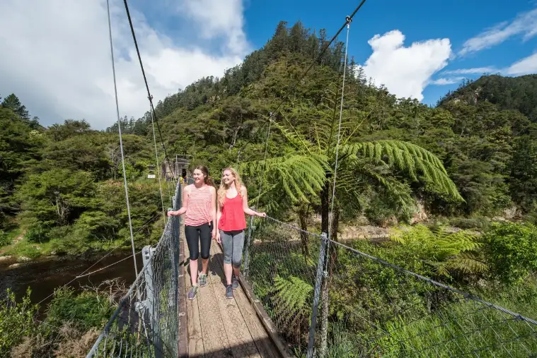 'Funky Chicken' Bus Pass | North & South Islands | Kiwi Experience