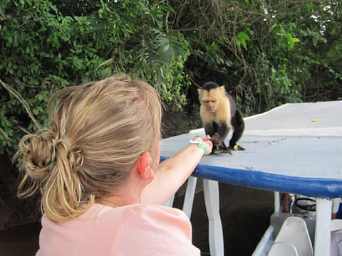 monkey-river-tour