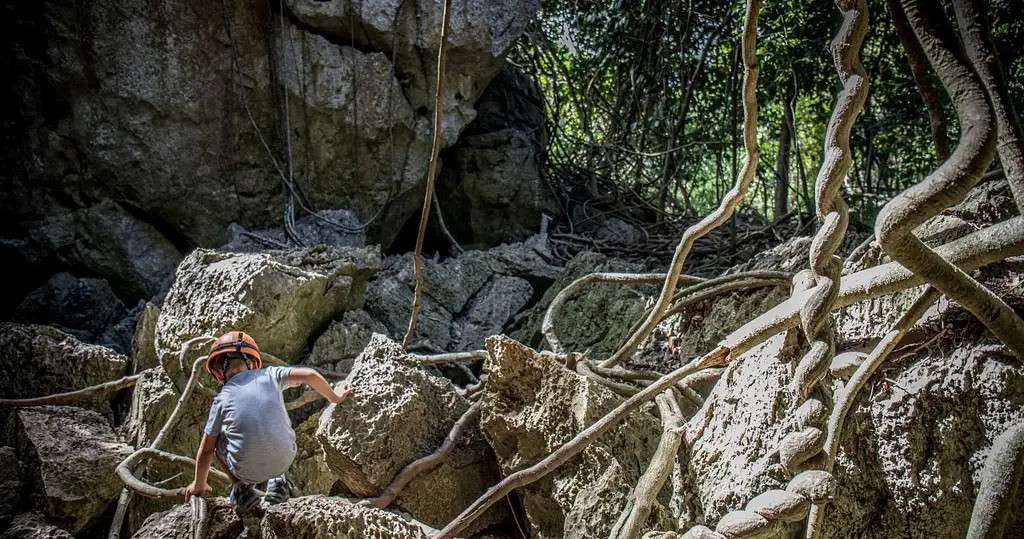 Capricorn Caves Adventure Tours