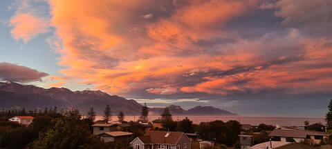 Best Kaikoura Day Trip From Christchurch