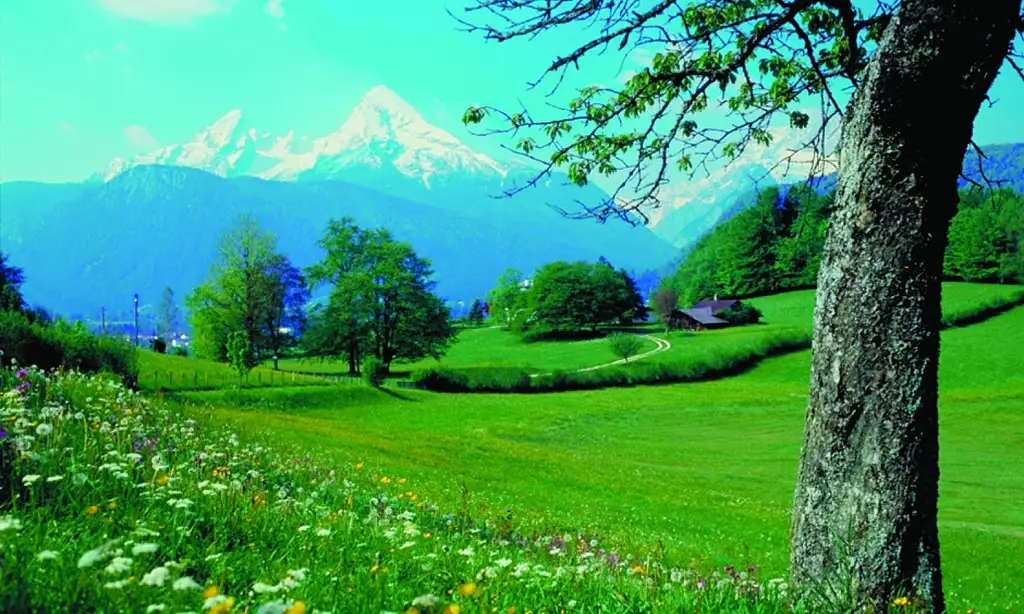 Ettal Monastery and Zugspitze Day Tour