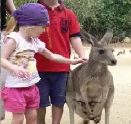 Blue Mountains Full day tour