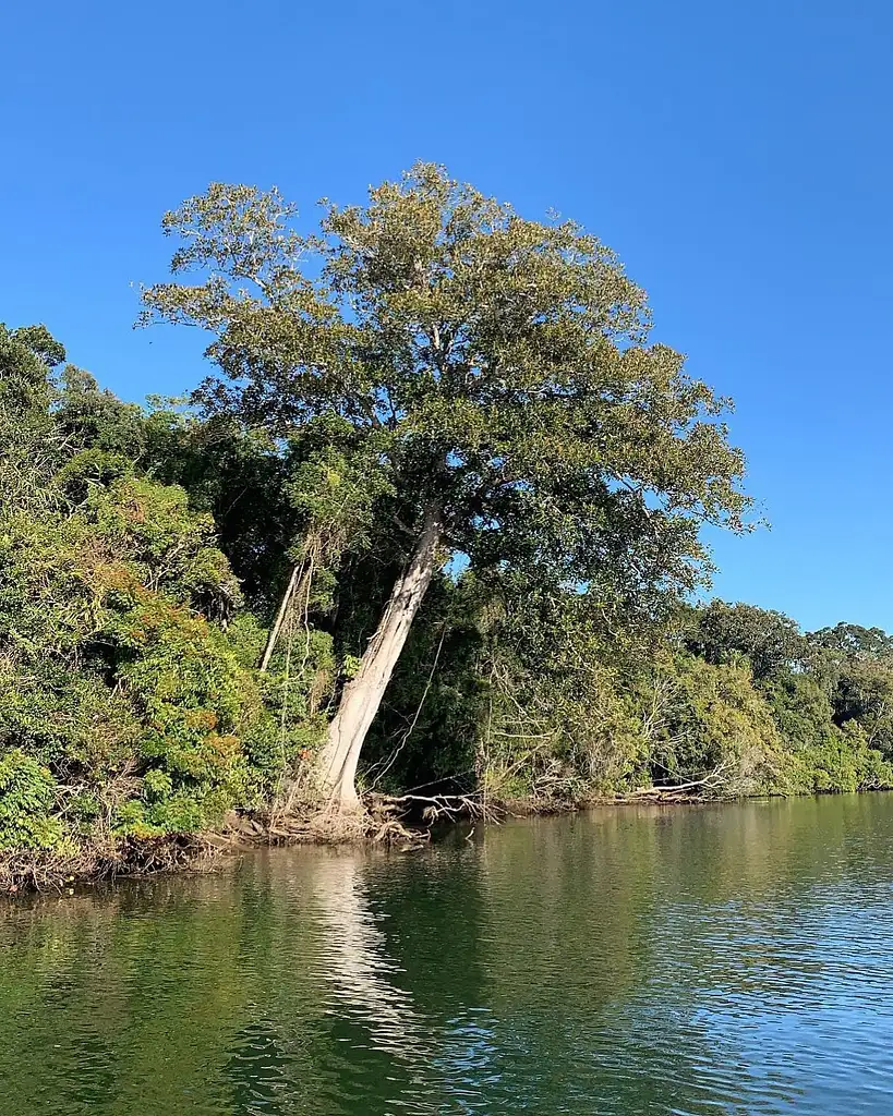Fingal Booningbah Cruise