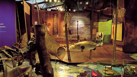 Kakadu in a Day Flight Tour deals