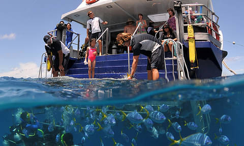 great-barrier-reef-voucher-scuba-diving-snorkelling