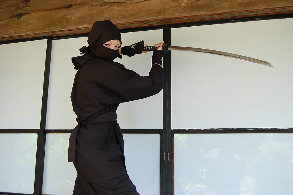 Ninja Experience and Onsen Visit