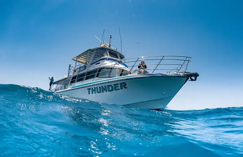 Coral Bay Whale Watching Tour