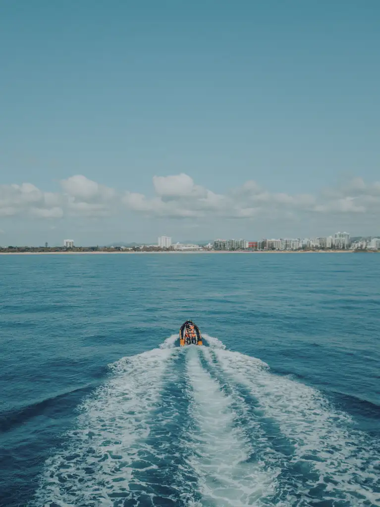 Adventure Rafting Whale Watching Experience - Mooloolaba