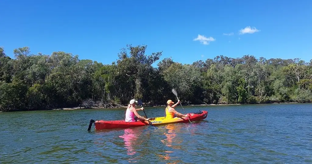 Noosa Mangroves and Mansions Kayak Adventure