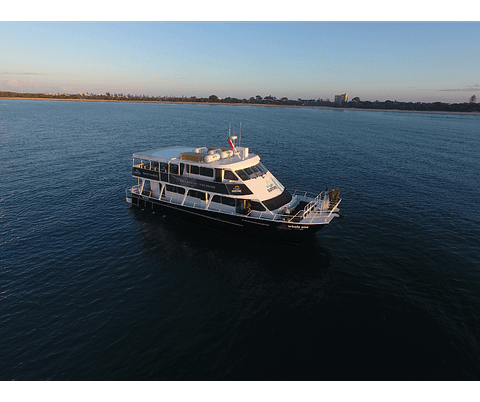 Mooloolaba cruise
