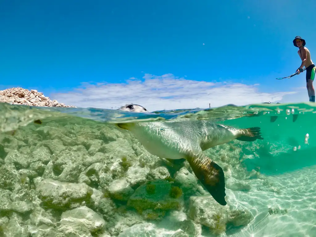 Abrolhos Islands Fast Ferry All-Day Adventure Tour