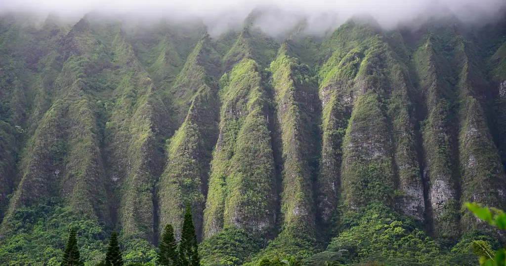 Oahu Island & Sunrise Photo Adventure