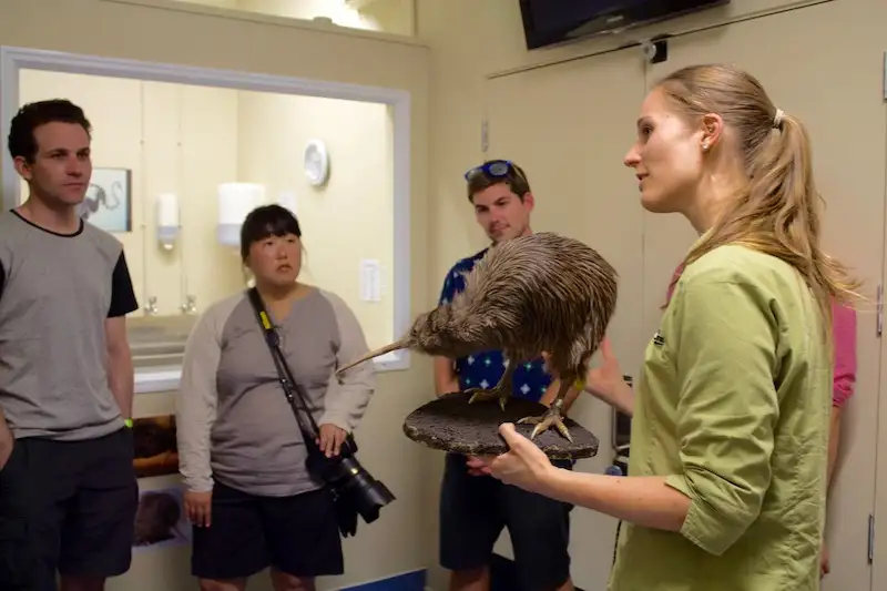 West Coast Wildlife Centre - General Admission | Franz Josef