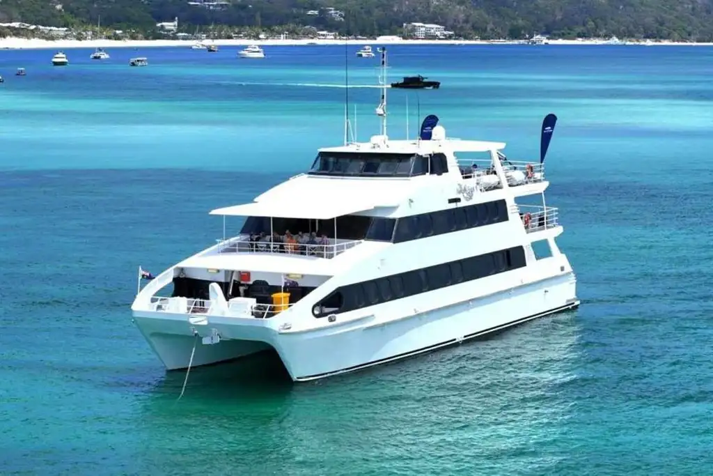 Gold Coast Cruise on a Luxury Catamaran with BBQ Lunch | Barmy Army Exclusive