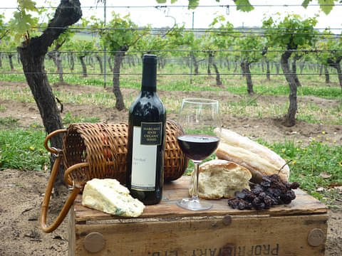 margaret river wine & discover tours