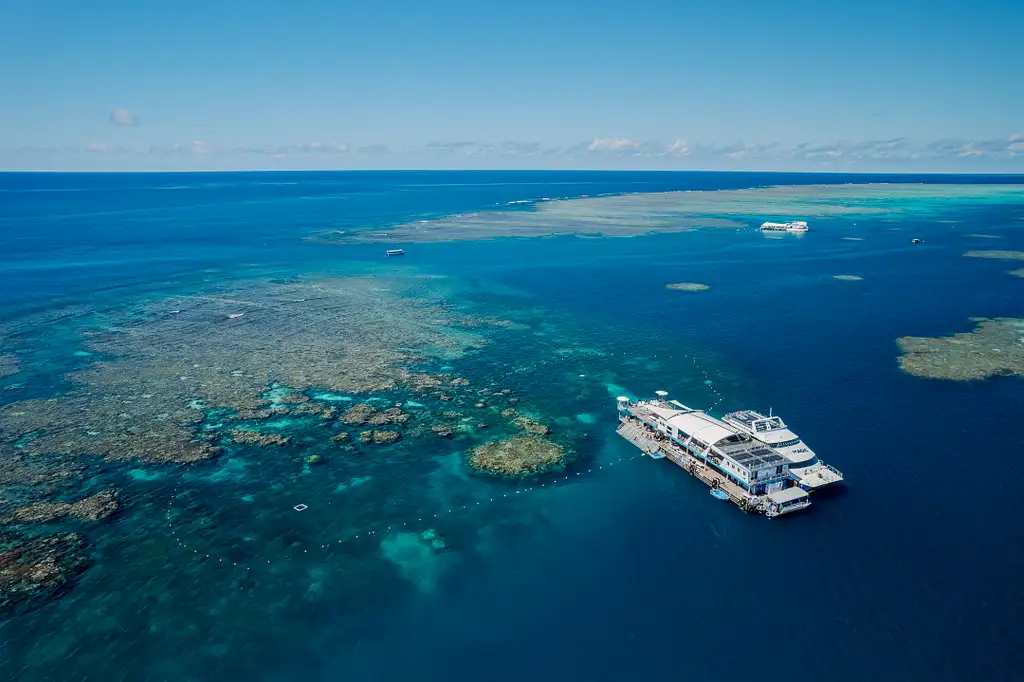 Cairns to Great Barrier Reef Cruise | Reef Magic Cruises
