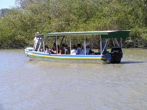 river-cruise-palo-verde