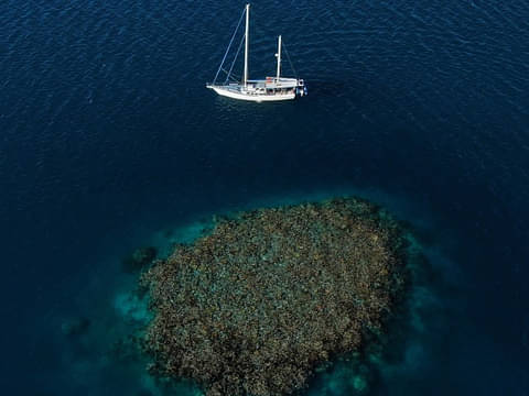 Whitsunday Outer Reef Sailing Deals