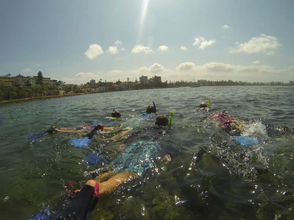 Manly Snorkel and Headland Walk Eco Tour