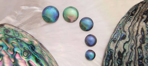 Paua Pearl Jewellery