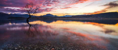 Wanaka