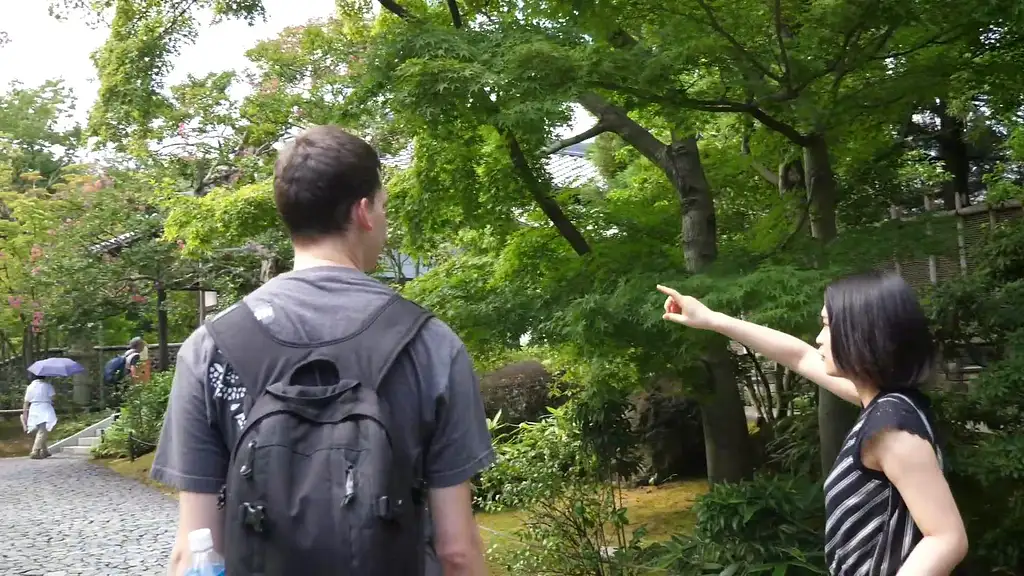 Himeji Castle Town Guided Bike Tour With Lunch | Half-day