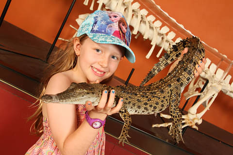 best deal crocodile tour