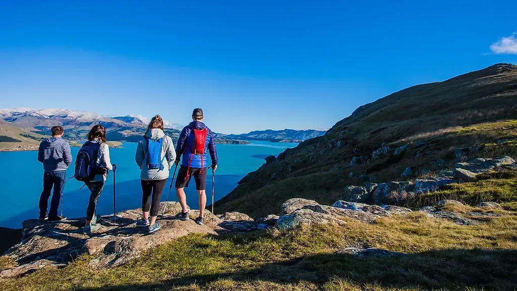 Christchurch Half-Day Guided Crater Rim Walk