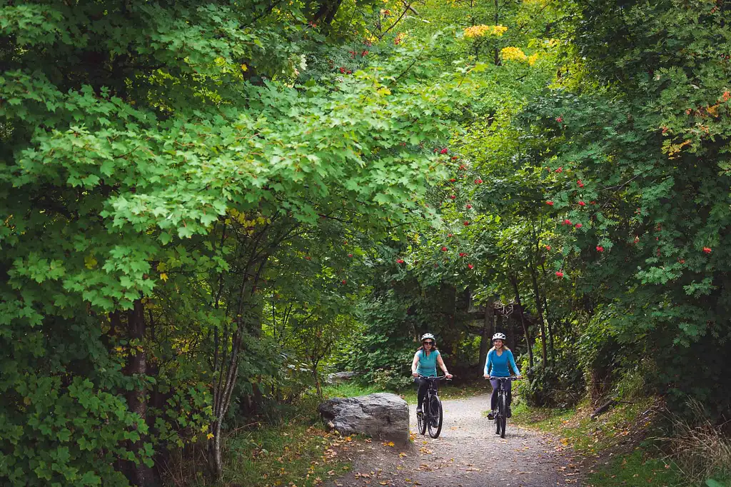 Bike The Bridges: Arrow River Trail