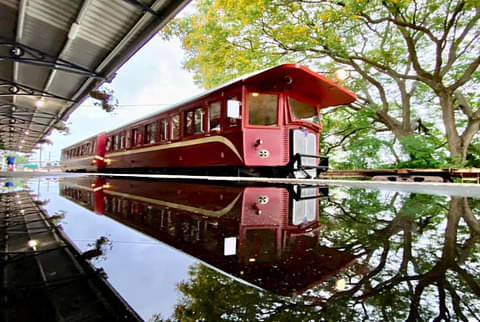 Mary Valley Rattler Tasting Train