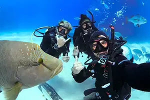 Cairns Liveaboard Dive Trips Discount
