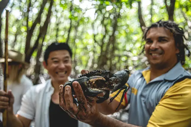 Full Day Or Half Day Daintree Rainforest Walkabout