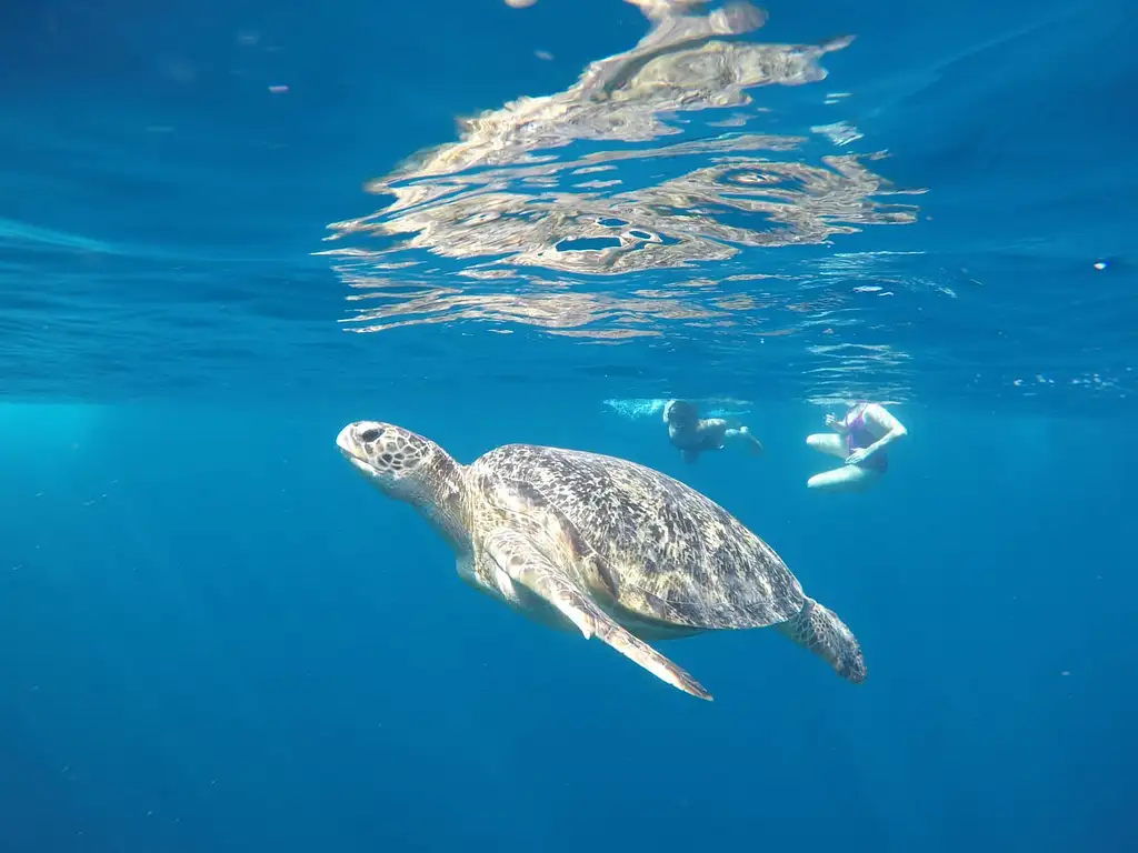 16 Days Do The Philippines Group Adventure Tour