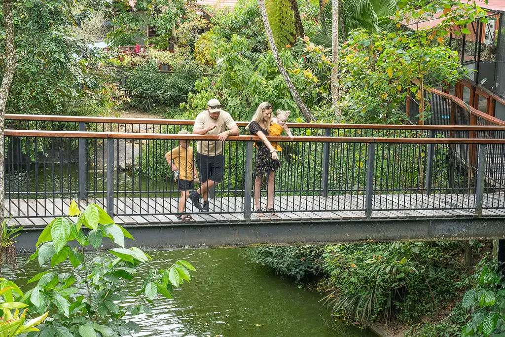 Kuranda Koala Gardens | Friends in the Rainforest Package