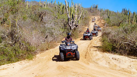 ATV tours
