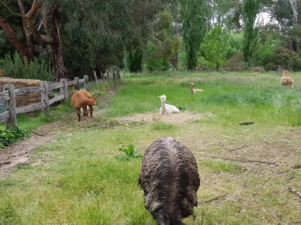 Mt Macedon Ranges & Daylesford Day Trip