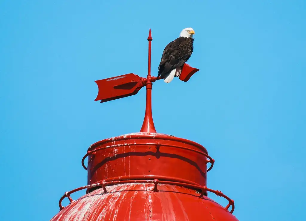 Sea Vancouver Waterfront | Sightseeing With City And Nature Tour