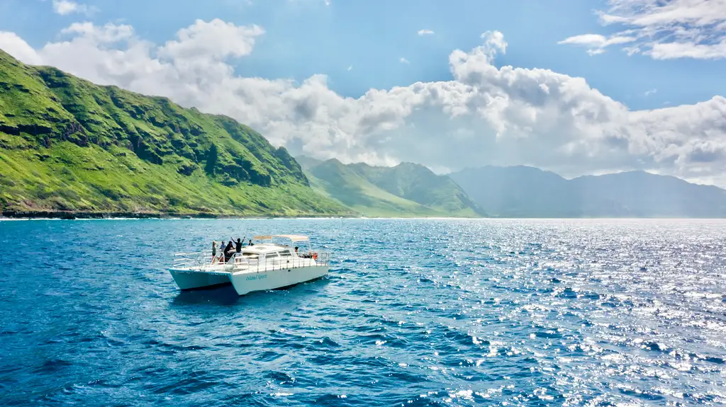 AʻO HAWAIʻI - Swim with Dolphins