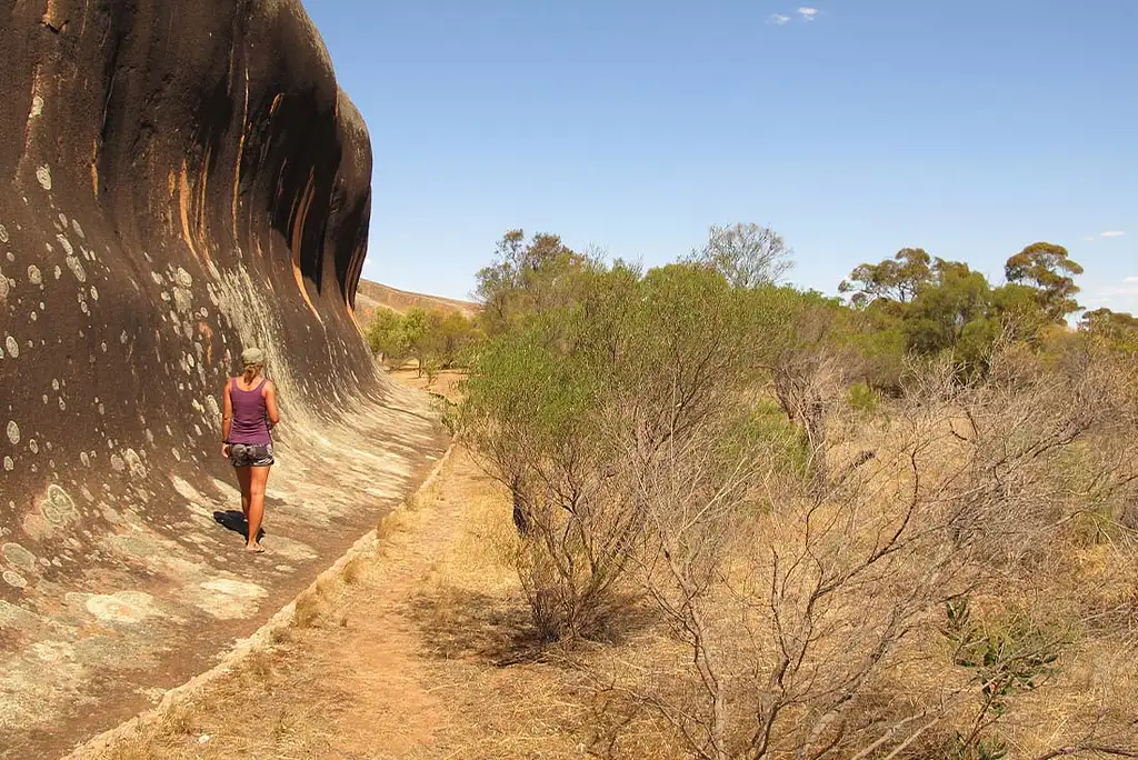 9 Day Eyre Peninsula Adventure | Intrepid Tour