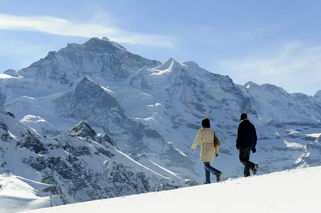 Grindelwald and Interlaken Day Trip from Zurich