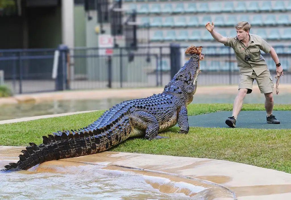 AUSTRALIA ZOO Transfer including Entry Ticket | Sunshine Coast