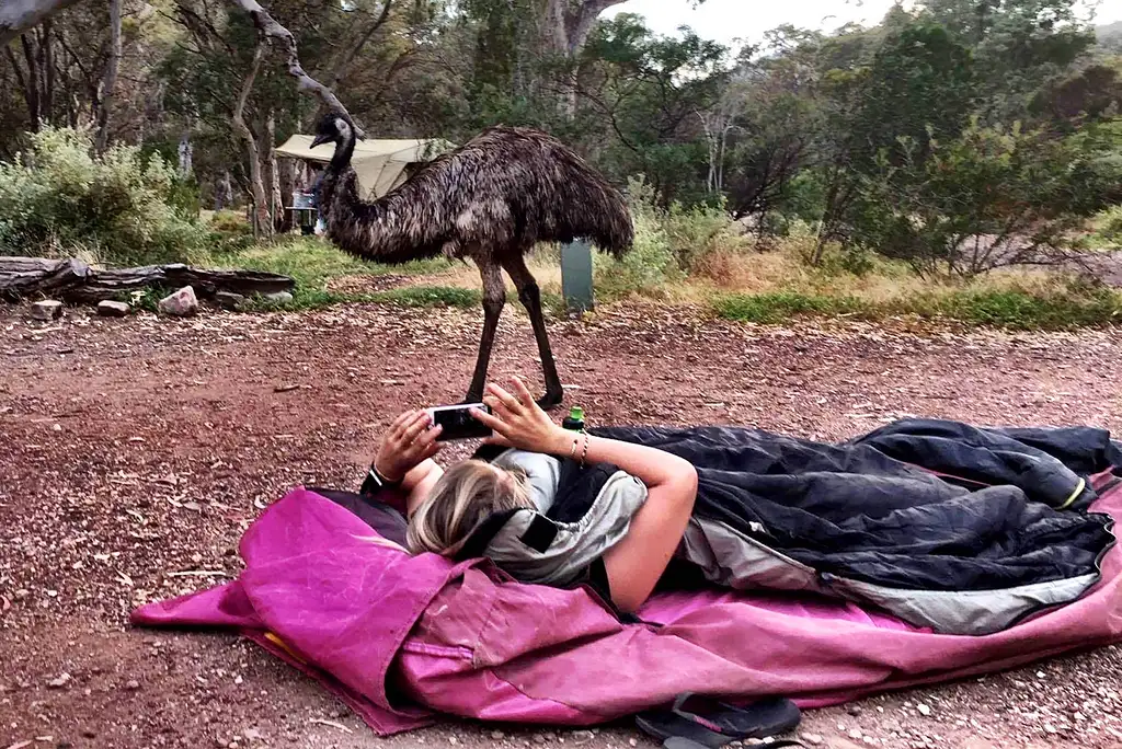 6 Day Esperance & Margaret River Camping Tour | Departing Perth