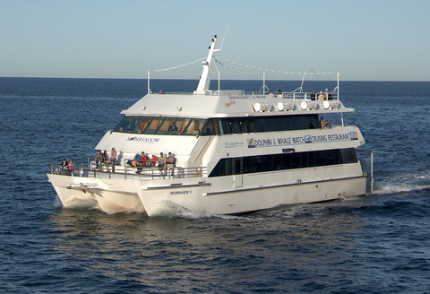 port stephens whale watching tours
