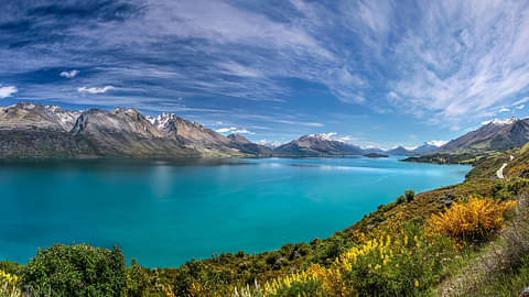 Fiordland National Park Tour