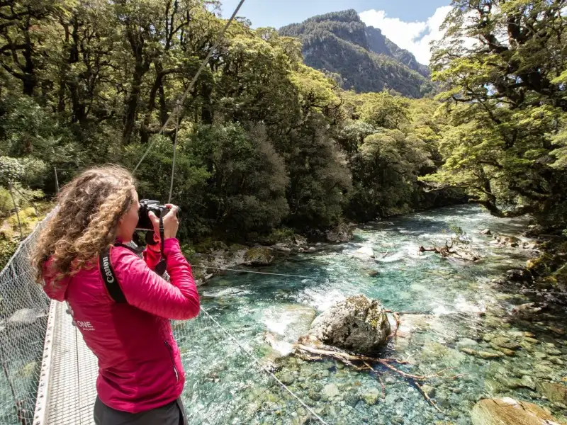 Milford Sound Cruise & Milford Track Walk