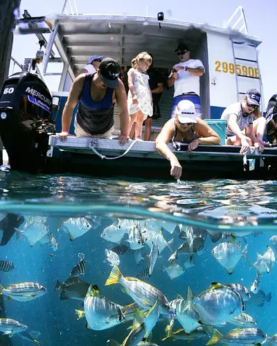 Great Keppel Island Coral Lunch Tour