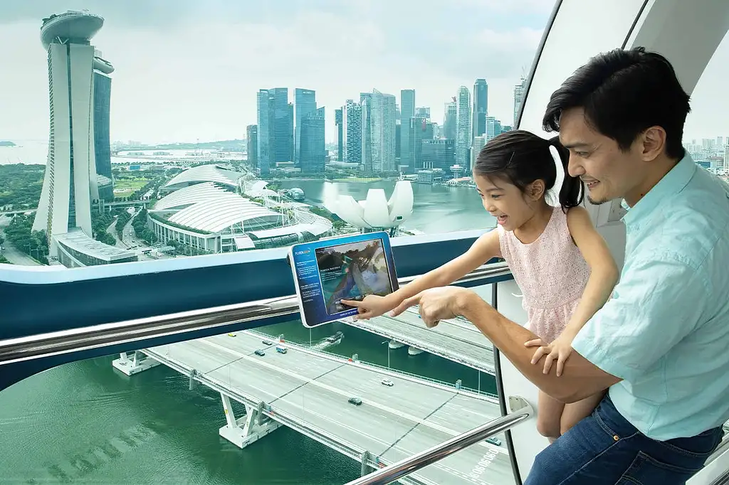 Singapore Flyer Observation Wheel and Time Capsule Entry Ticket